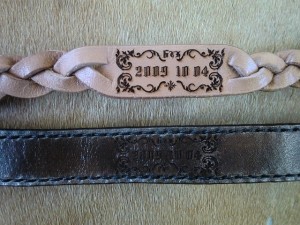 CIMG8609