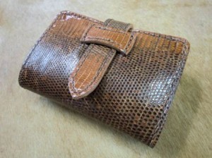 リングリザード-2