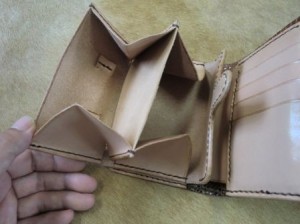 リングリザード-5