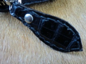 CIMG0620