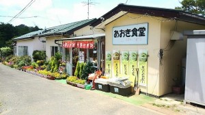 13325501_942640135853739_31327128781208452_n