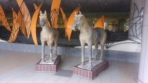 14590501_1038641532920265_7314290992907344493_n