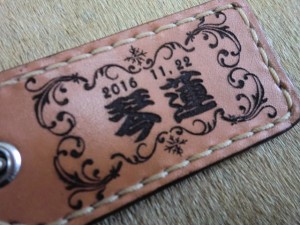 CIMG0163