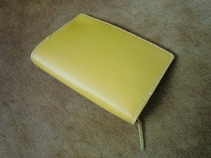 CIMG0527