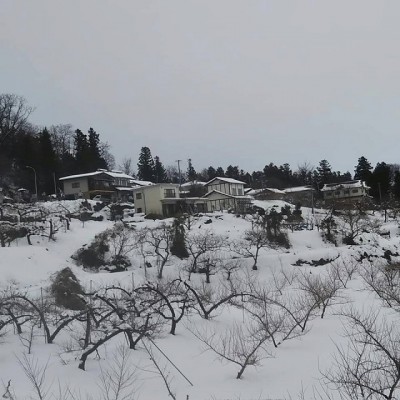 49101843_1893666994084377_1015796341445492736_n