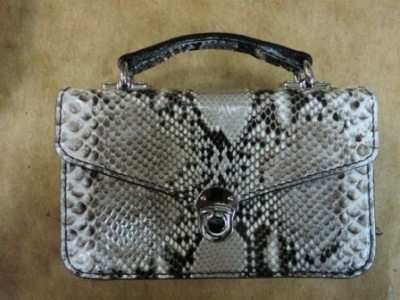 パイソンセカンドー1