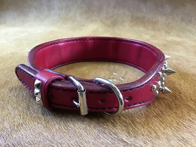 写真 2020-06-15 15 25 32