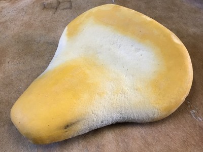 写真 2020-06-08 13 51 44