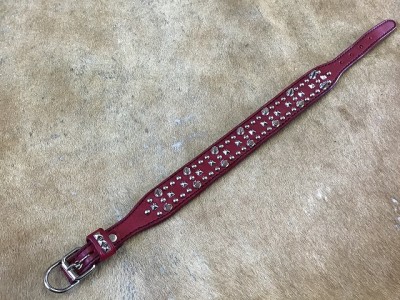 写真 2020-06-15 15 26 13