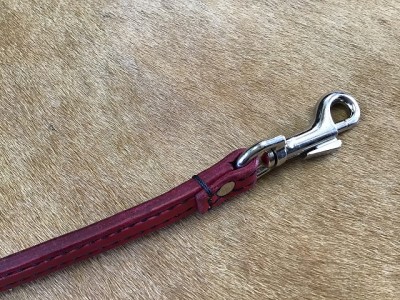 写真 2020-06-15 15 28 50