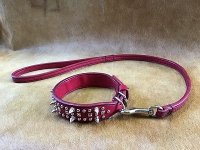 写真 2020-06-15 15 27 19