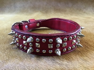 写真 2020-06-15 15 25 45